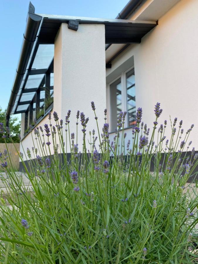 Lavender Garden Apartment Debrecen Dış mekan fotoğraf